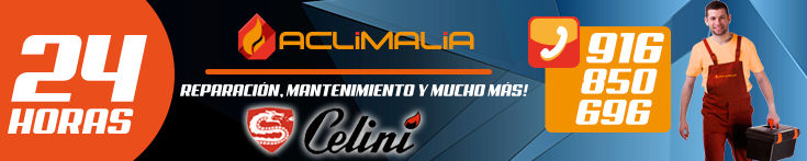 Reparacion de calderas Celini en Leganes