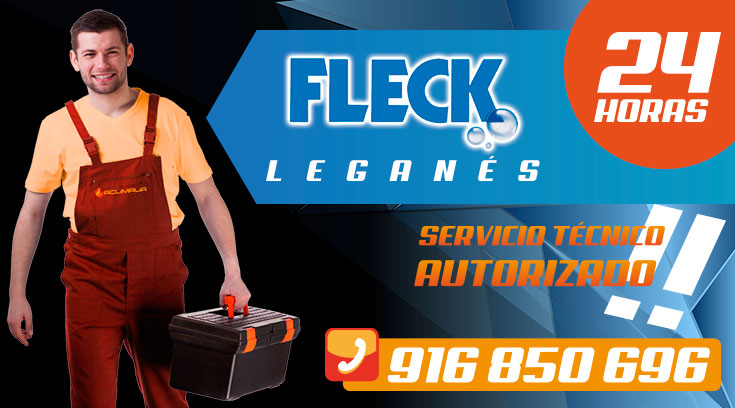 Servicio Técnico Fleck en Leganés