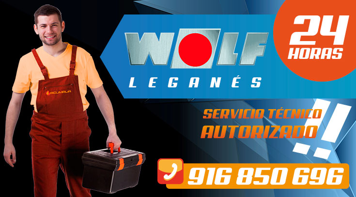 Servicio Técnico Calderas Wolf en Leganés